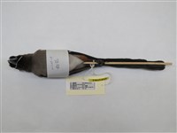 藏品(樹鵲)的圖片